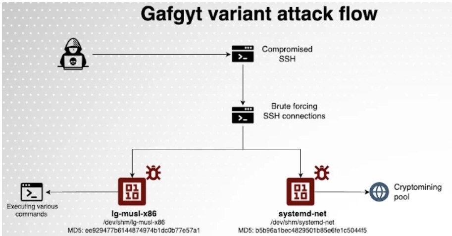 Visueller Angriffsablauf der Gafgyt-Botnet-Malware-Variante