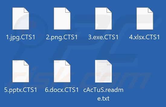Screenshot von Dateien, die mit der Cactus-Ransomware über PCRisk verschlüsselt wurden